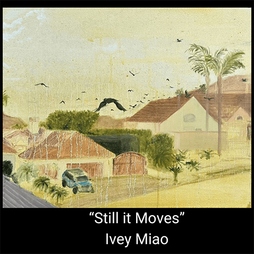 "Still it Moves" by Ivey Miao